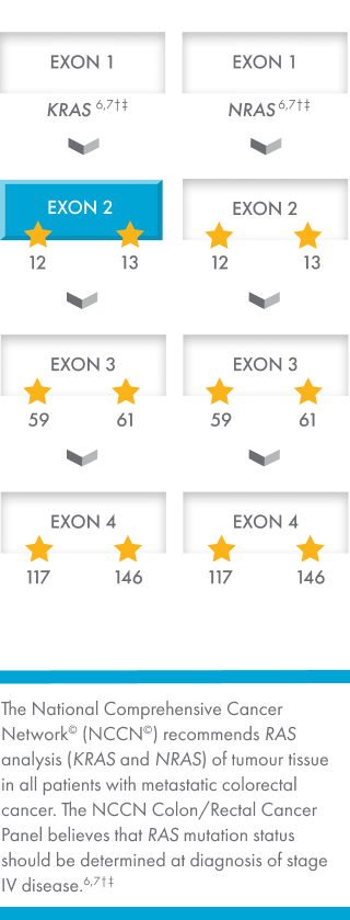 Possible mutations that might occur in KRAS and NRAS genes in patients with metastatic colorectal cancer. Mutations may occur at codons 12 and 13 (exon 2), codons 59 and 61 (exon 3), and codons 117 and 146 (exon 4) of both KRAS and NRAS.