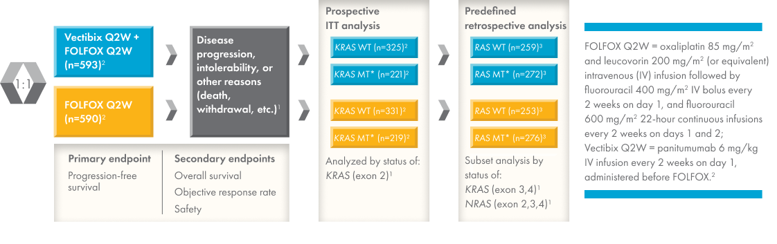 Patients with previously untreated mCRC (N=1183) were randomized 1:1 to one of two groups: Vectibix Q2W + FOLFOX Q2W (n=593) or FOLFOX Q2W (n=590).1 
The primary endpoint was progression-free survival, while secondary endpoints consisted of overall survival, objective response rate, and safety. Duration of treatment was until disease progression, intolerance, or other reason (death, withdrawal, etc). 1 
Tumours from the intention to treat (ITT) patient population were prospectively analyzed by tumour mutation status of KRAS (exon 2). In the Vectibix Q2W + FOLFOX Q2W treatment arm, 325 patients had wild-type KRAS, and 221 patients had mutant KRAS. Out of the FOLFOX alone treatment arm, 331 patients had wild-type KRAS tumours, and 219 patients had KRAS mutation on exon 2. 1 
Tumours from both treatment arms were further analyzed for biomarker status through additional retrospective analysis for the status of KRAS (exon 3, 4) and NRAS (exon 2, 3, 4). 1
 In the Vectibix Q2W + FOLFOX Q2W treatment arm, 259 patients had wild-type RAS and 272 patients had RAS mutations.3 [4A, p6] Out of the FOLFOX alone treatment arm, 253 patients had wild-type RAS tumours and 276 were determined to have RAS  mutations.3  The mutation analysis was performed as Vectibix is not indicated for patients with mutant RAS (KRAS/NRAS) or for whom RAS status is unknown. 
The dosing administration for FOLFOX Q2W consisted of oxaliplatin 85 mg/m2 and leucovorin 200 mg/m2 (or equivalent) intravenous (IV) infusion followed by fluorouracil 400 mg/m2 IV bolus every 2 weeks on day 1, and fluorouracil 600 mg/m2 22-hour continuous infusions every 2 weeks on days 1 and 2. Vectibix dosing consisted of panitumumab 6 mg/kg IV infusion every 2 weeks on day 1, administered before FOLFOX.2 