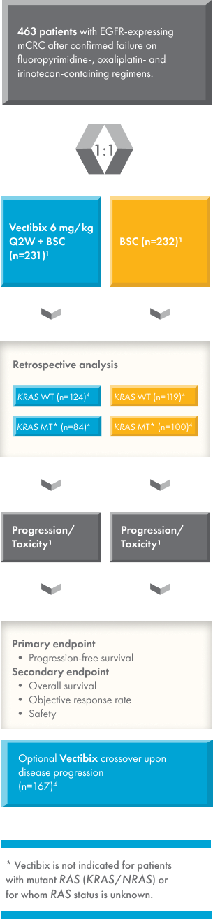 463 patients with EGFR-expressing mCRC after confirmed failure on fluoropyrimidine-, oxaliplatin- and irinotecan-containing regimens were randomized 1:1 to one of two groups: Vectibix at dosing administration of 6 mg/kg every two weeks (Q2W) + BSC (n=231) or BSC (n=232). 
Tumours from the original patient population were retrospectively analyzed by tumour KRAS mutation status.  Of the 427 patients who had a tumour sample analyzed for KRAS, 243 were determined to have wild-type KRAS and 184 were determined to have mutant KRAS. 
Among patients that were randomized to receive Vectibix + BSC, 124 had wild-type and 84 had mutant KRAS; among patients that were randomized to receive BSC alone, 119 had wild-type and 100 had mutant KRAS. 
Duration of treatment was until disease progression or treatment toxicity. 
The primary endpoint was progression-free survival, while secondary endpoints consisted of overall survival, objective response rate, and safety.
Upon disease progression, 167 patients originally randomized to BSC alone treatment arm were eligible to crossover to optional treatment of Vectibix at dosing administration of 6 mg/kg every two weeks (Q2W) + BSC. 